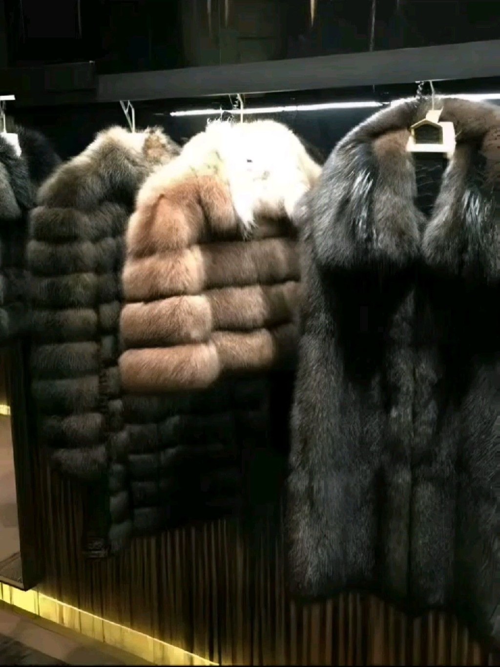 Birkin Bags, Fur Coats, and the Great Fashion&nbsp;Paradox