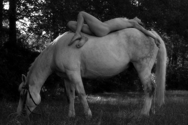 Cowboys and Dreamers