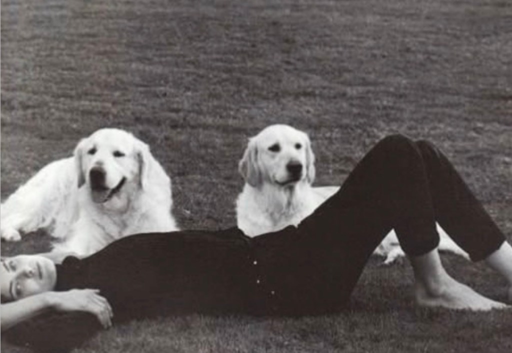 Demons in the&nbsp;Crib